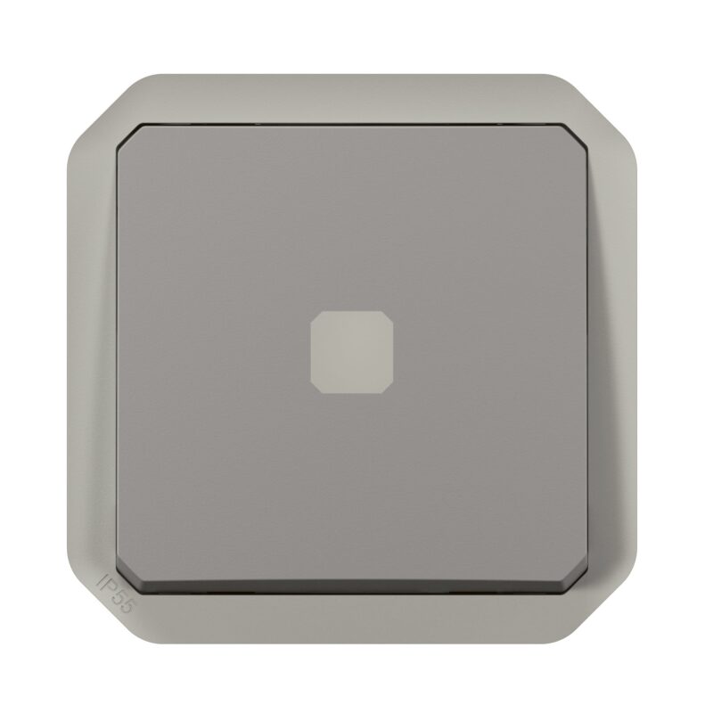 LEGRAND Plexo tijdschakelaar 25s-15min mechanisme IP55 IK07 grijs 069504L