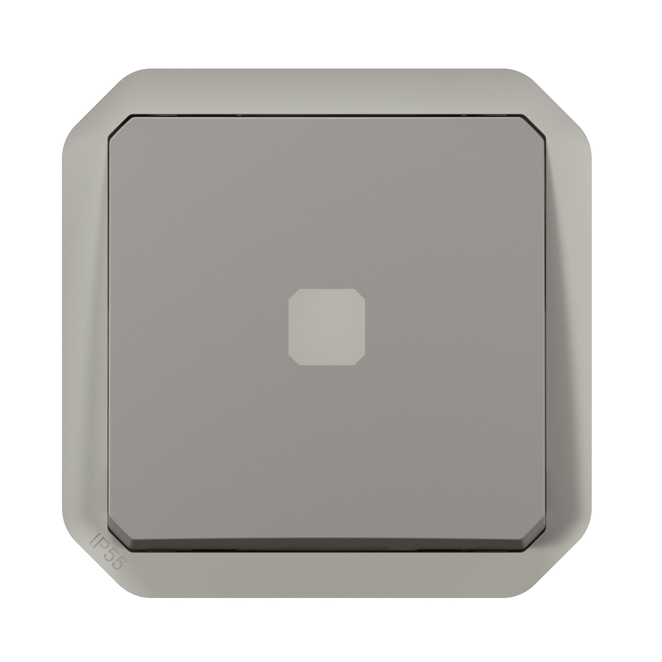 LEGRAND Plexo tijdschakelaar 25s-15min mechanisme IP55 IK07 grijs 069504L