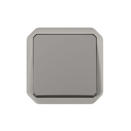 LEGRAND Plexo 2P schak verlicht. zndr lamp mecha. IP55 IK08 grijs 069530L