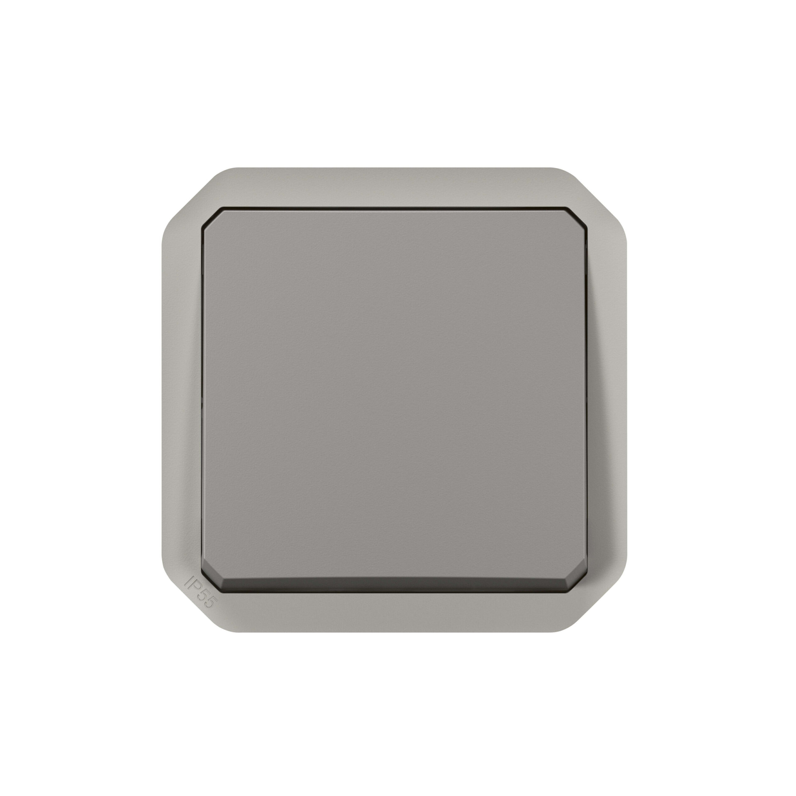 LEGRAND Plexo 2P schak verlicht. zndr lamp mecha. IP55 IK08 grijs 069530L