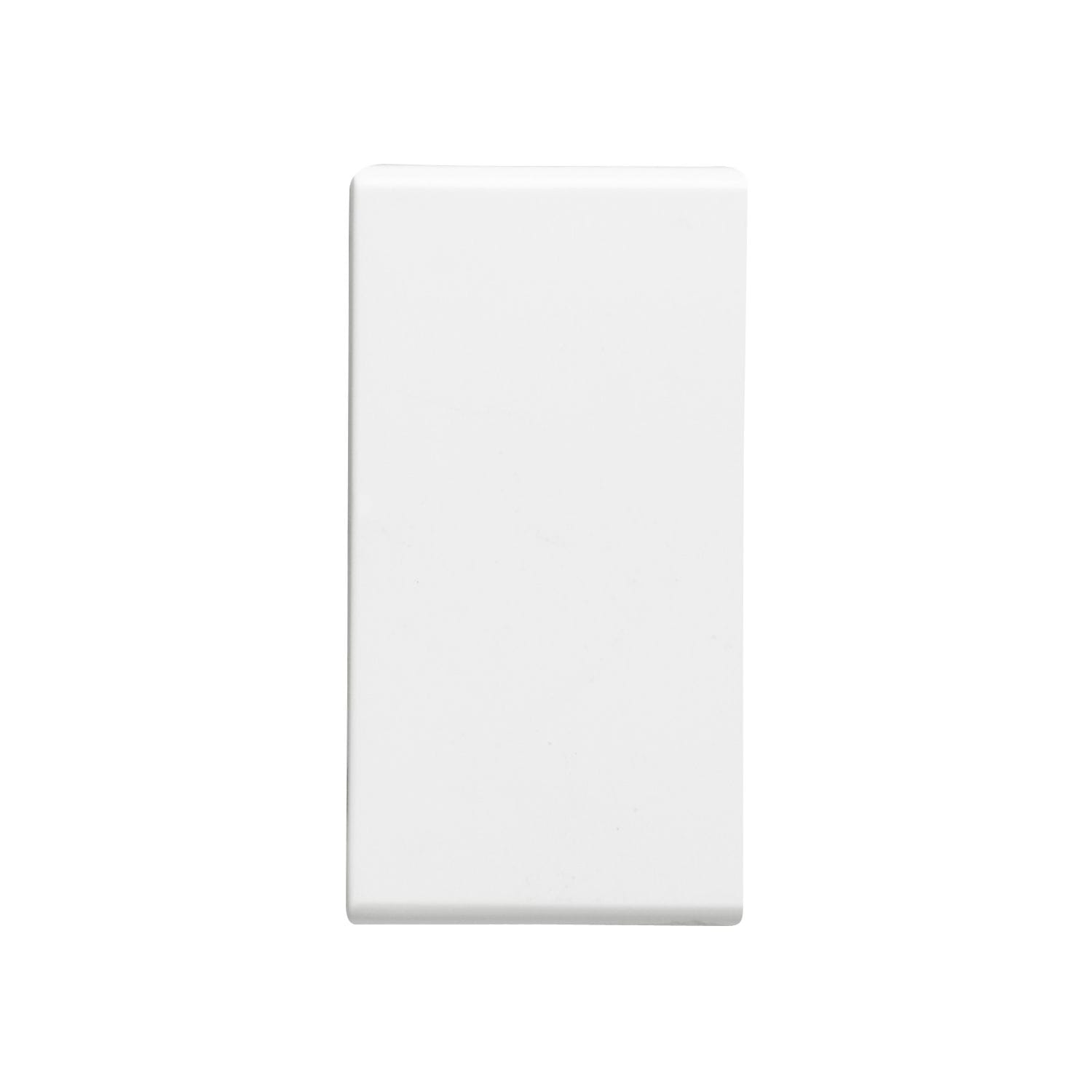 LEGRAND Mosaic wisselsch. easyled 10AX 1 mod wit 077001L