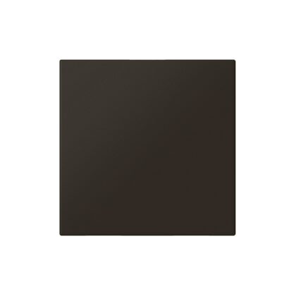LEGRAND Mosaic blinde plaat 2 modules zwart 079181L