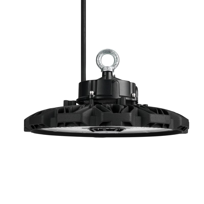 LIT by Cardi Highbay