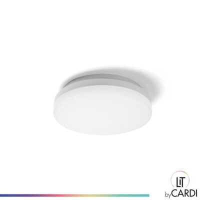LIT by Cardi Jack wand/plafond 8-12