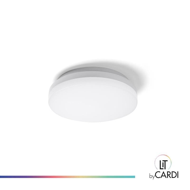 LIT by Cardi Jack wand/plafond 8-12