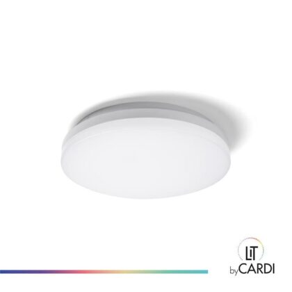 LIT by Cardi Jack wand/plafond 8-14