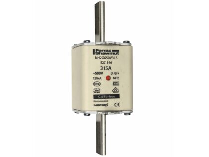 Mersen Meszekering Grootte: 2 gG 500V 315A E201346