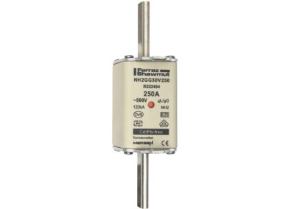 Mersen Meszekering Grootte: 2 gG 500V 250A R222494