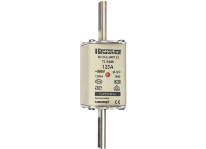 Mersen Meszekering Grootte: 2 gG 500V 125A T215688