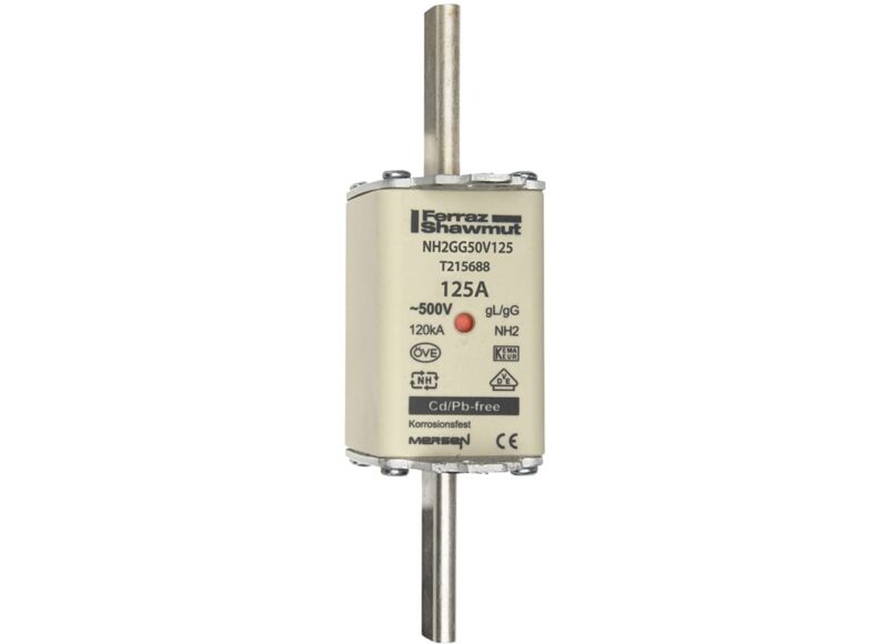 Mersen Meszekering Grootte: 2 gG 500V 125A T215688