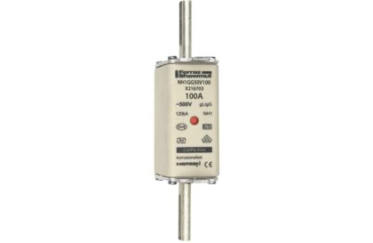 Mersen Meszekering Grootte: 1 gG 500V 100A X216703