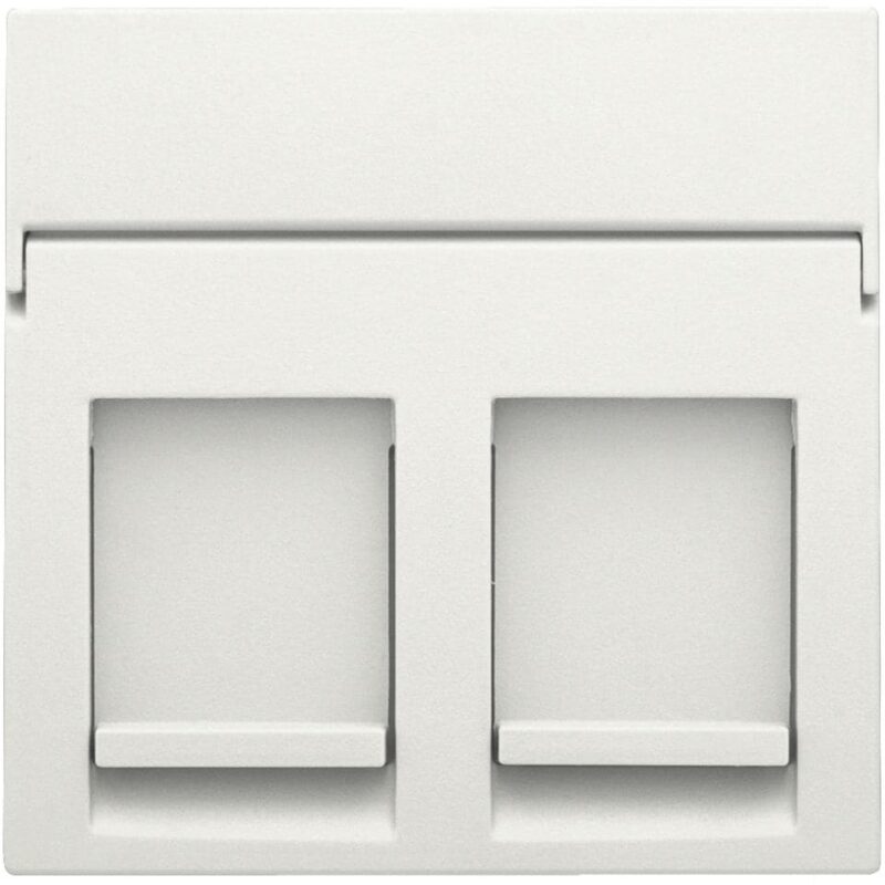 NIKO Centraalplaat 2x RJ11/RJ45 vlak
