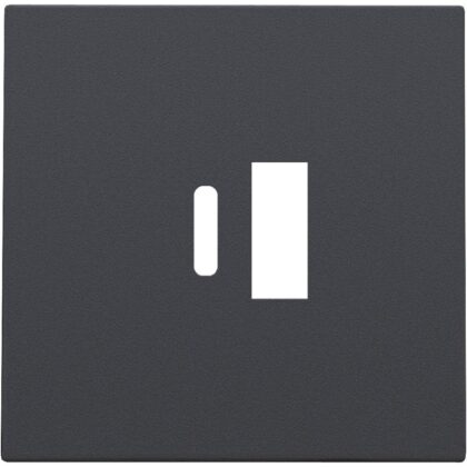 NIKO Centraalplaat voor smart USB-A en USB-C-lader
