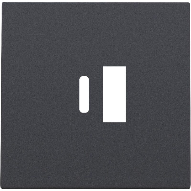 NIKO Centraalplaat voor smart USB-A en USB-C-lader