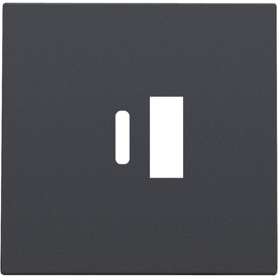 NIKO Centraalplaat voor smart USB-A en USB-C-lader