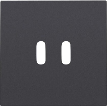 NIKO afwerkingsset voor dubbele usb-c-lader 122-68003