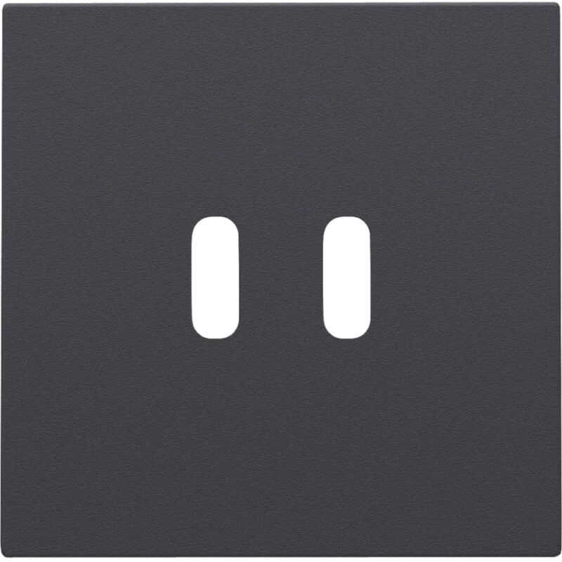 NIKO afwerkingsset voor dubbele usb-c-lader 122-68003