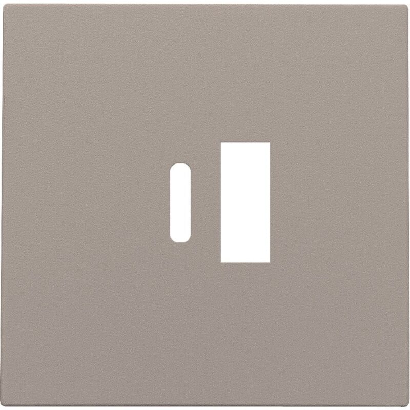 NIKO Centraalplaat dubbele smart usb-a en usb-c-lader