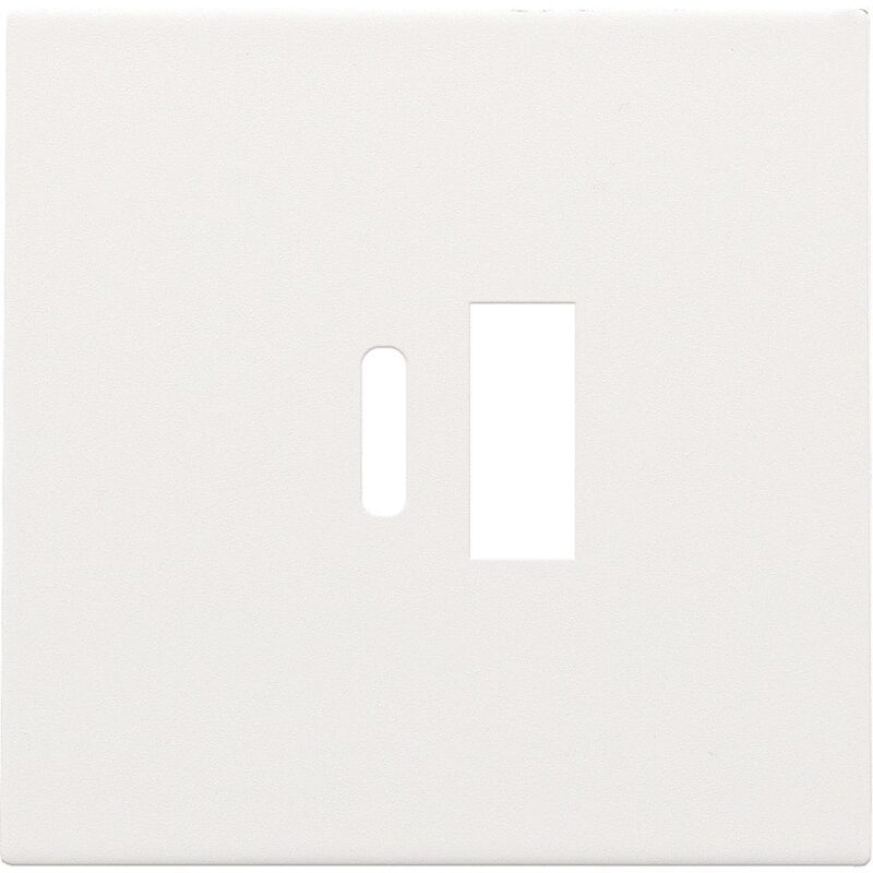 NIKO Centraalplaat dubbele smart usb-a en usb-c-lader