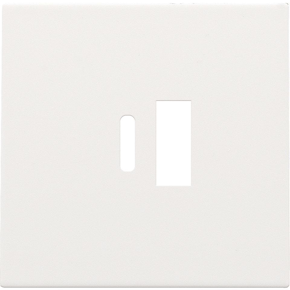 NIKO Centraalplaat dubbele smart usb-a en usb-c-lader