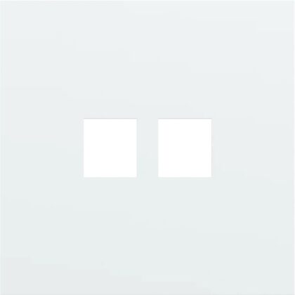 NIKO 1v afdekplaat voor 2 rj45 conn