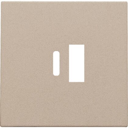 NIKO Centraalplaat dubbele smart usb-a en usb-c-lader