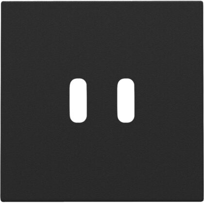 NIKO afwerkingsset voor dubbele smart usb-c-lader 161-68003