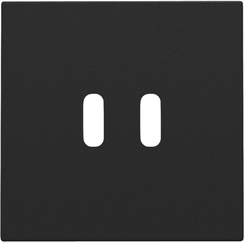 NIKO afwerkingsset voor dubbele smart usb-c-lader 161-68003