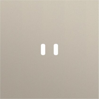 NIKO 1v afdekplaat voor dubbele usb-c