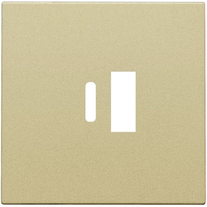 NIKO Centraalplaat dubbele smart usb-a en usb-c-lader