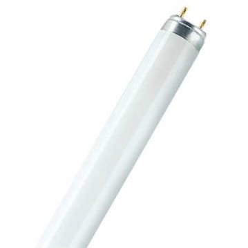 OSRAM LUMILUX® DE LUXE T8 36 W/954 4050300018263
