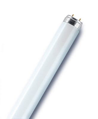 OSRAM Lamp TL 23W Ø26 koel wit 4300K BASIC 4050300237220