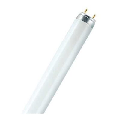 OSRAM LUMILUX® T8 1 m 36 W/840-1 4050300518091