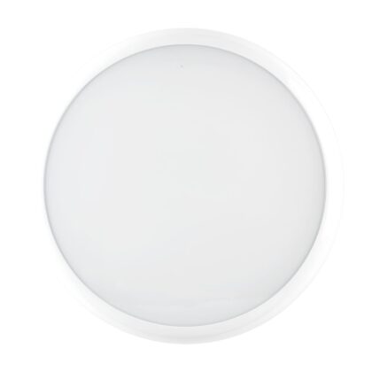 PIL CLY 15 S/EW 830/40 WH87 EM3 DLS DETEK 3116568
