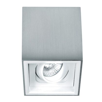 PSM LIGHTING BETAPLUS opbouw plafondverlichting - richtbaar - down wit textuur 1705.ES50.1M