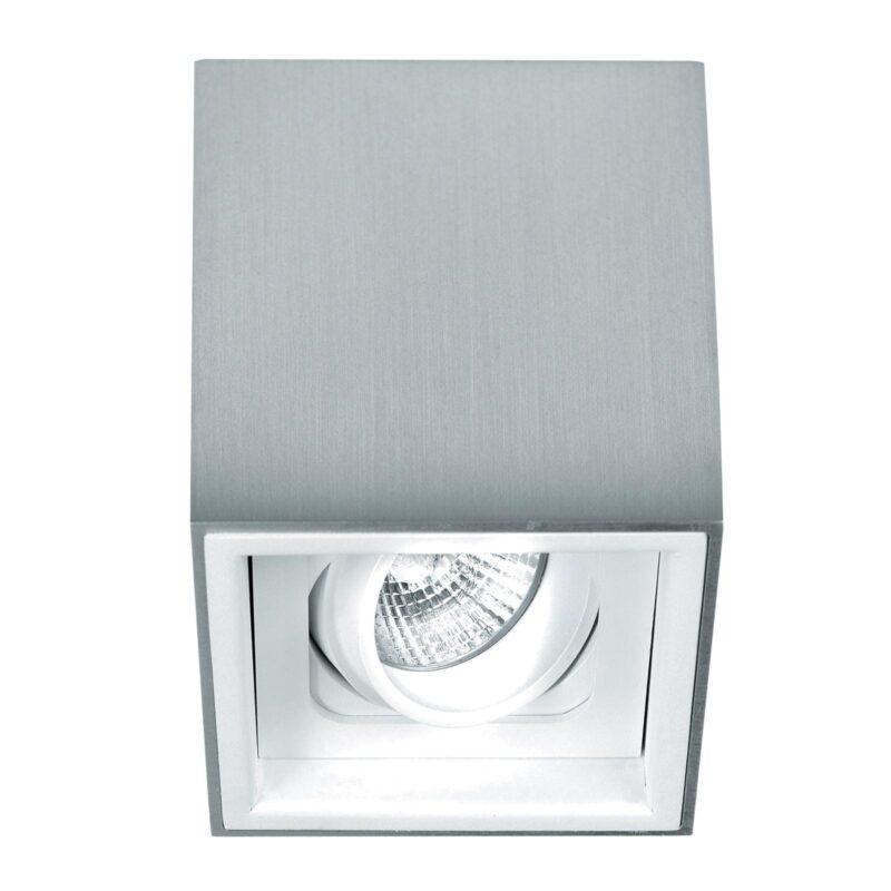PSM LIGHTING BETAPLUS opbouw plafondverlichting - richtbaar - down wit textuur 1705.ES50.1M