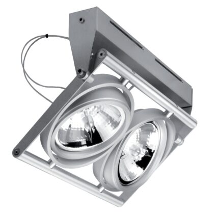 PSM LIGHTING OPERA opbouw plafond -of wandlicht - richtbaar - met transfo alu satijn 953.14