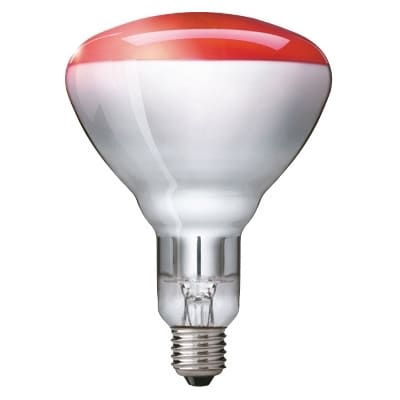 Philips Lighting BR125 Infrarood 150W E27 Red dimbaar verwarmingsgloeilamp industrie 8711500575203