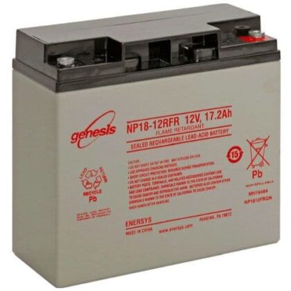 RAS Safety en Security ENP batterij 12v 18ah ENP18-12