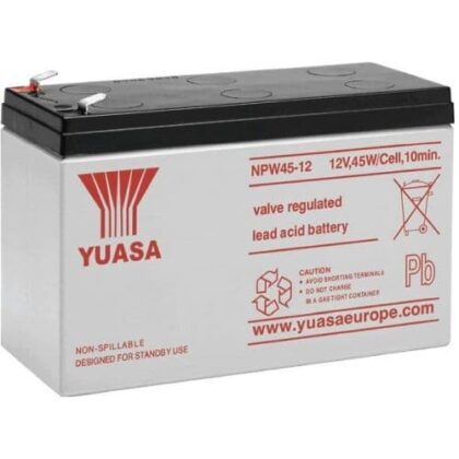 RAS Safety en Security Npw batterij 12v 45w