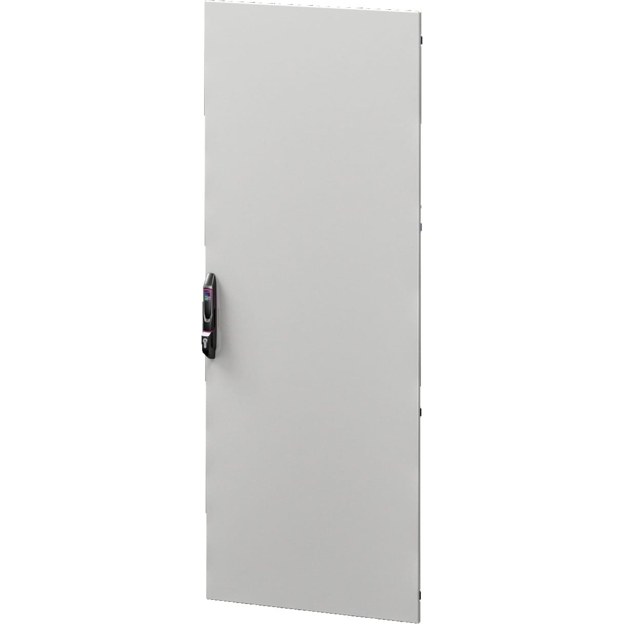 RITTAL VX IT  Deur plaatstaal 800x2000mm R7035 5301540