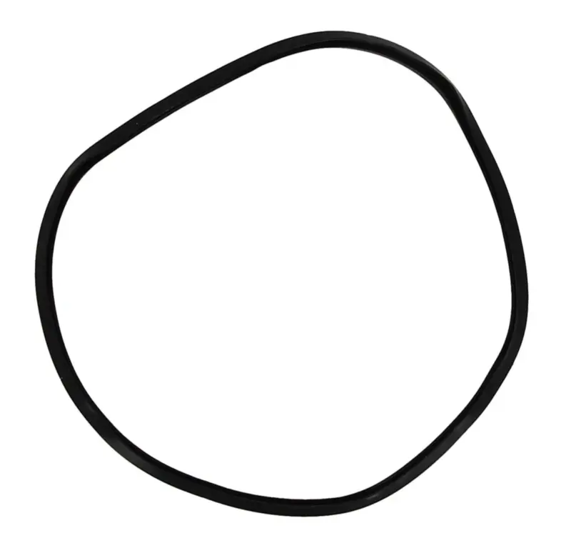 Remeha Toebehoren/onderdelen voor gasgestookte cv-ketels Remeha 721987300
