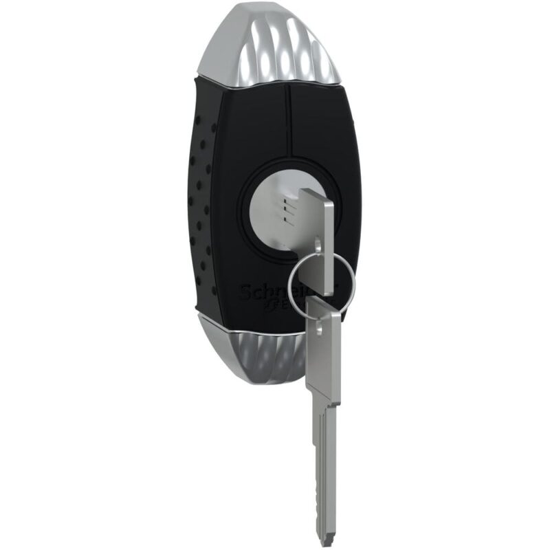 SAREL Sleutelhendel met sleutel 455 voor Spacial S3D beh. NSYAEDL455S3D
