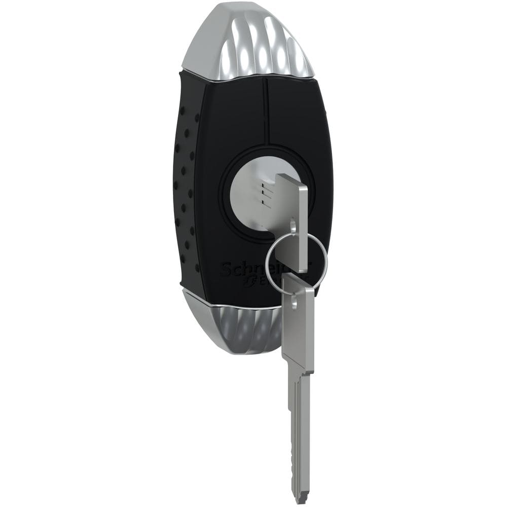 SAREL Sleutelhendel met sleutel 455 voor Spacial S3D beh. NSYAEDL455S3D