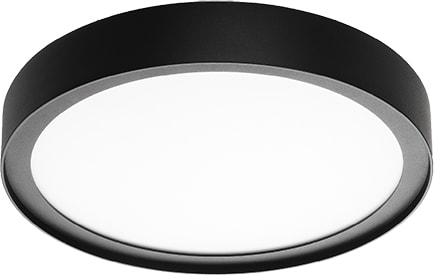 SG Lighting Disc 290 Zwart 2700K Led 17W 606043