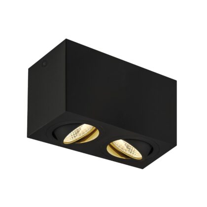 SLV Belgium Triledo Double LED indoor plafondopbouwlamp zwart 3000K 16W 1002003