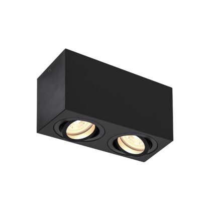 SLV Belgium Triledo Double indoor plafondopbouwlamp QPAR51 zwart max 10W 1002005