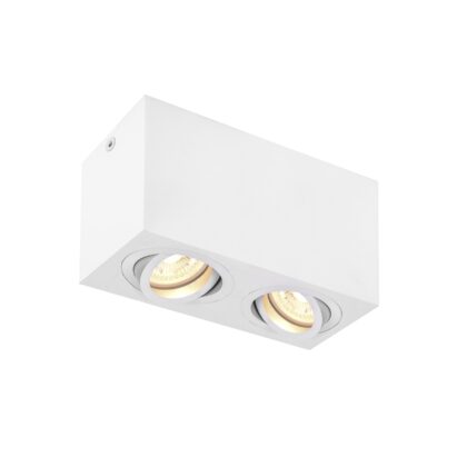 SLV Belgium Triledo Double indoor plafondopbouwlamp QPAR51 wit max 10W 1002006