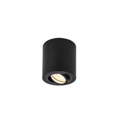SLV Belgium Triledo CL indoor plafondopbouwlamp QPAR51 zwart max 10W 1002010