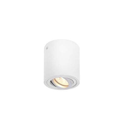 SLV Belgium Triledo CL indoor plafondopbouwlamp QPAR51 wit max 10W 1002011